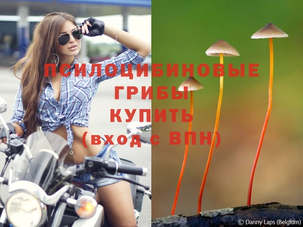 круглые Аркадак