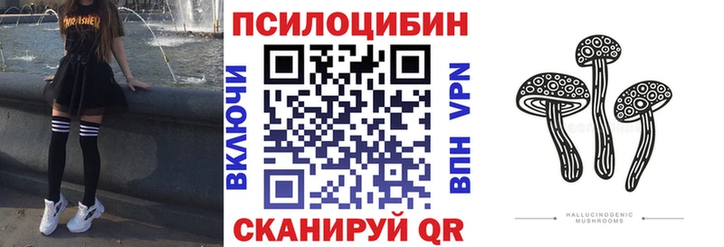 где купить   Полысаево  Галлюциногенные грибы мицелий 